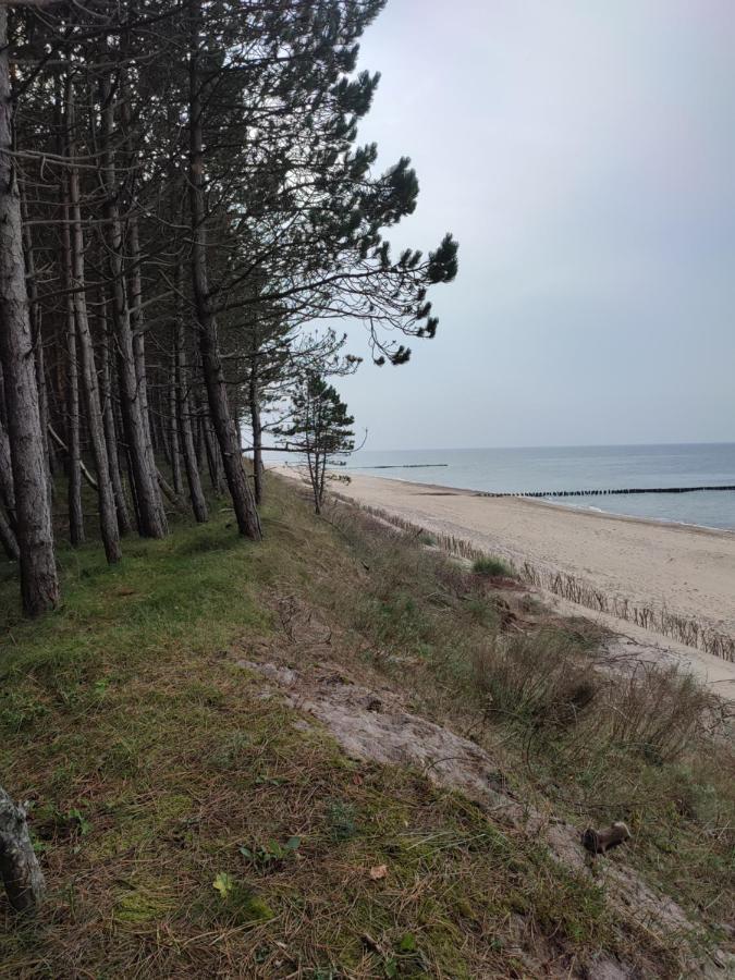 Villa Zielonka Relaks Rusinowo  Esterno foto