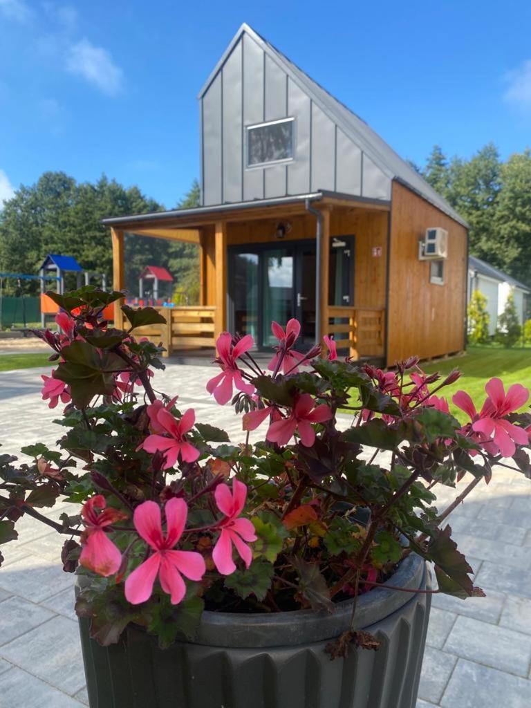 Villa Zielonka Relaks Rusinowo  Esterno foto